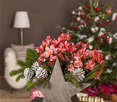 Advent - mit schönen Ideen durch die Vorweihnachtszeit Advent - mit schönen Ideen durch die Vorweihnachtszeit